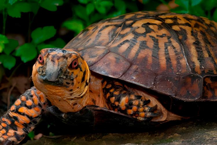 HOLIDAY WORLD RESORT | BENALMADENA | 2